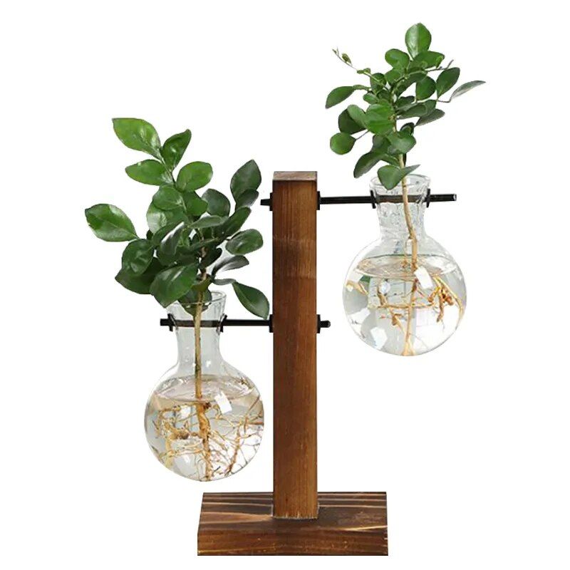 Hydroponic Terrarium Vase - Image 3