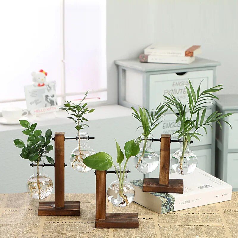 Hydroponic Terrarium Vase