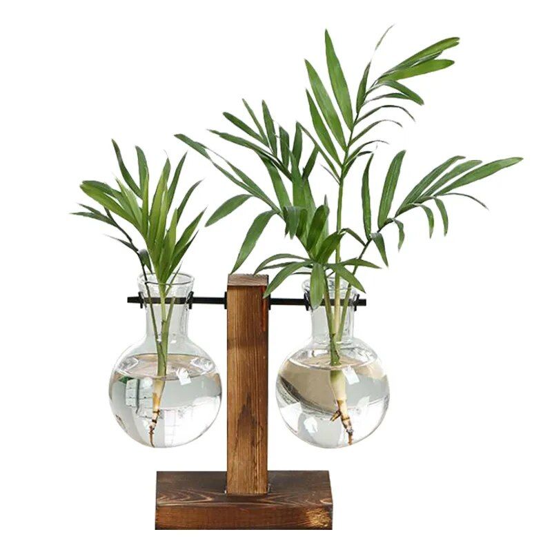 Hydroponic Terrarium Vase - Image 6