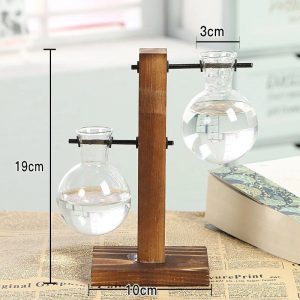Hydroponic Terrarium Vase - Image 7
