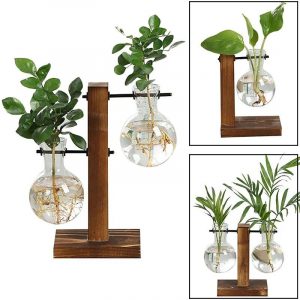 Alternative view of Hydroponic Terrarium Vase