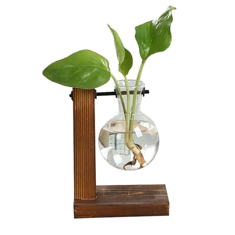 Hydroponic Terrarium Vase - Image 5